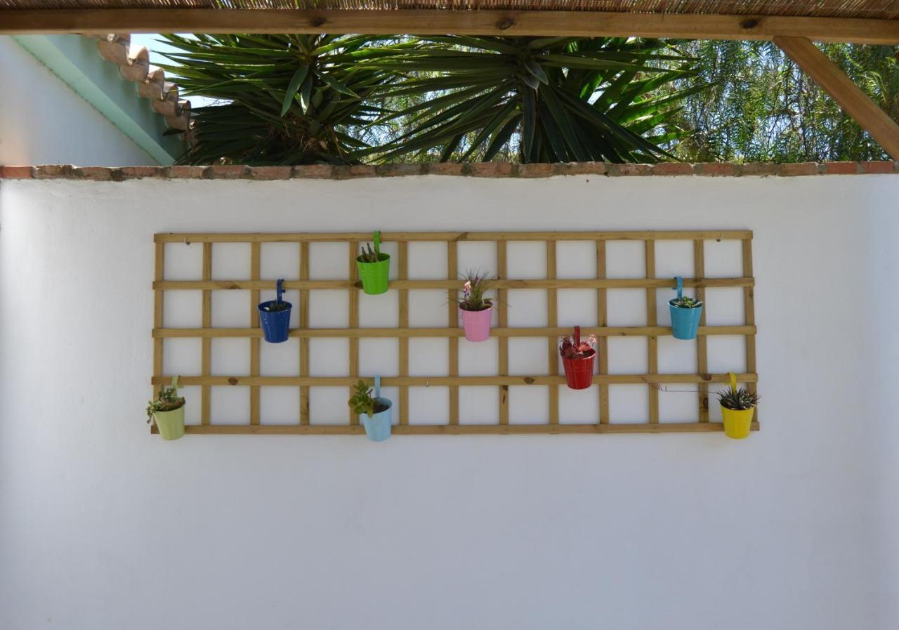 Casa-Estudio Pachamama サオラ エクステリア 写真